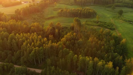 Green-meadows-and-forestry-landscape-with-bright-sunshine,-aerial-view