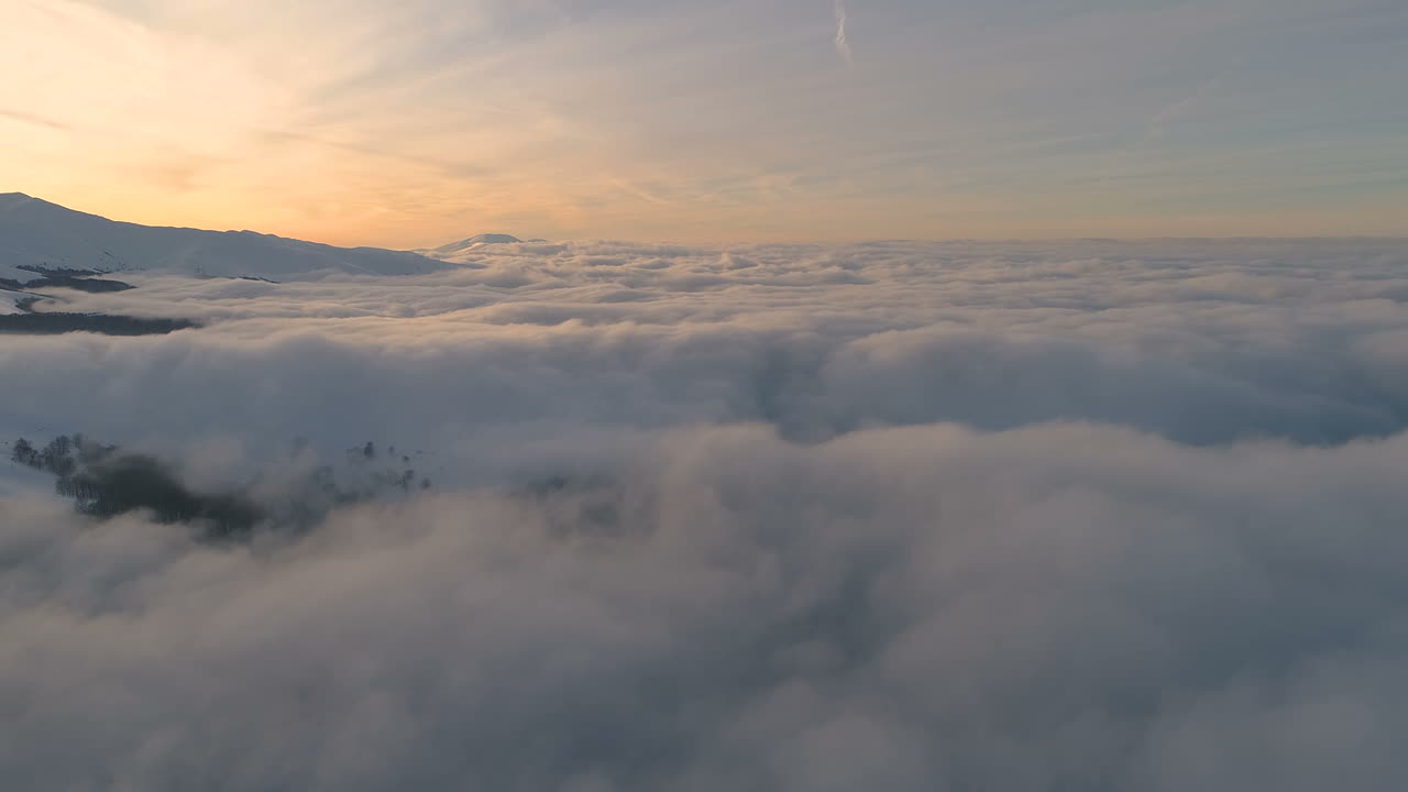 구름 위, 눈 덮인 숲 앞, 산봉우리, 노을빛