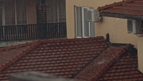 rainy day cityscape with bird on roof