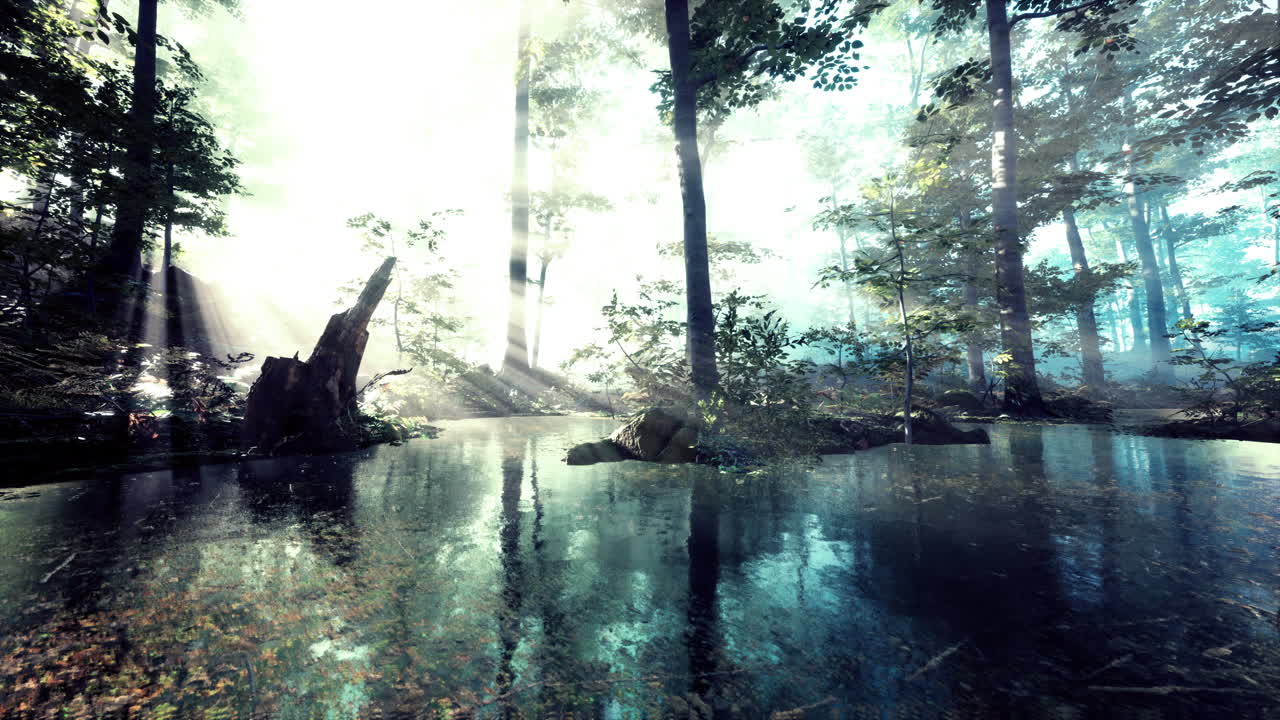 안개가 있는 숲의 연못에서