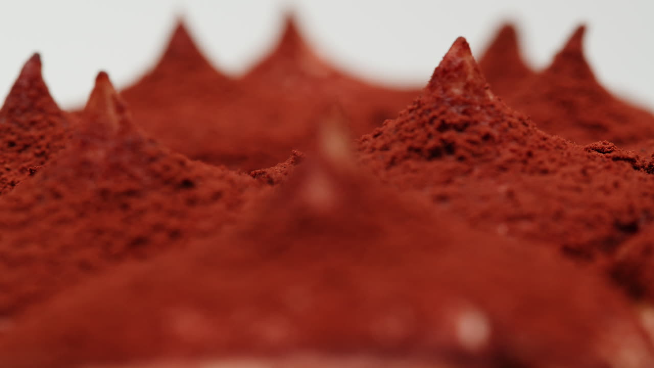 Close up of Tiramisu