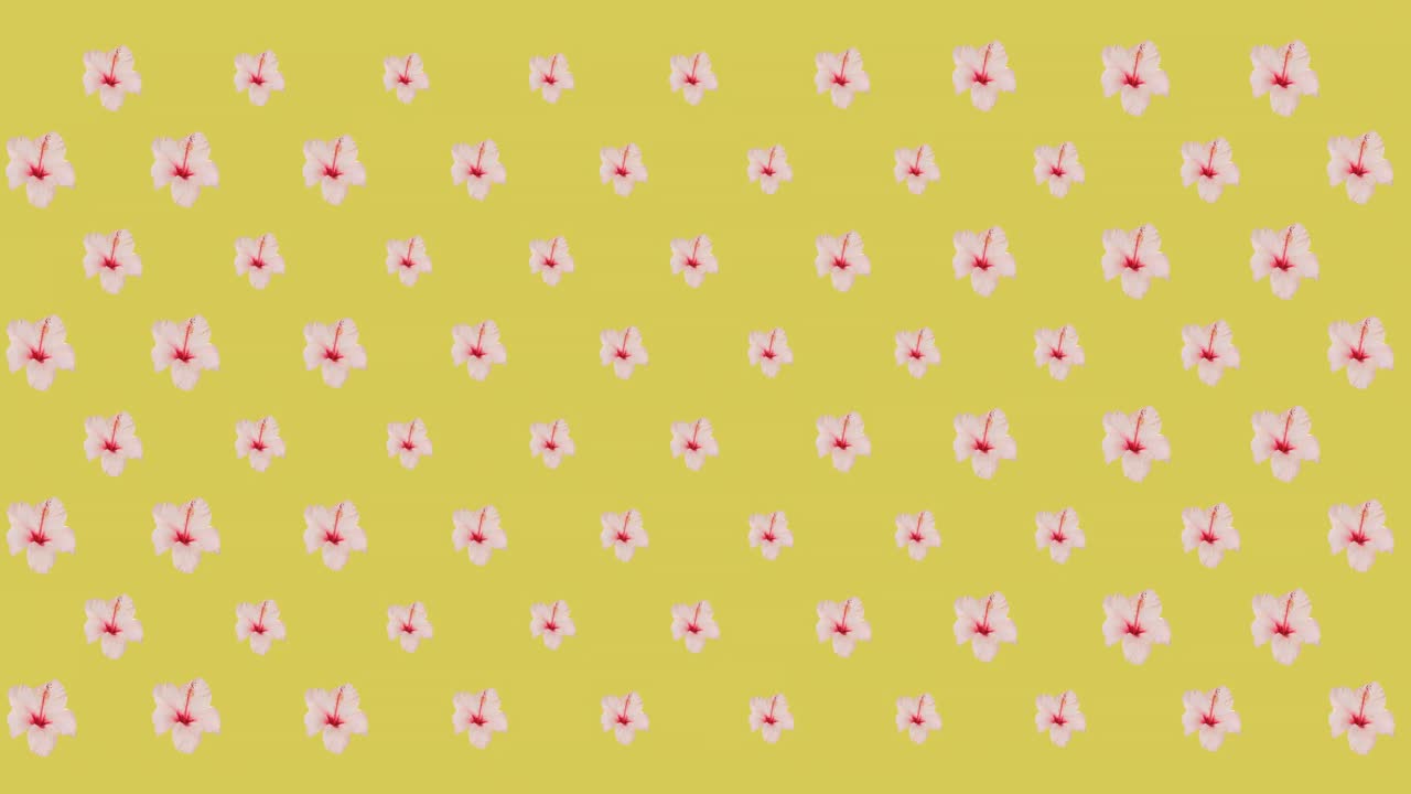 Animation af lyserøde blomster på gul baggrund