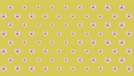 Animation-of-pink-flowers-on-yellow-background