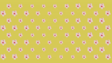 animación de flores rosadas sobre un fondo amarillo