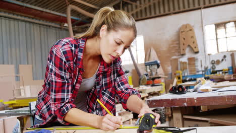 beautiful carpenter using measure tape