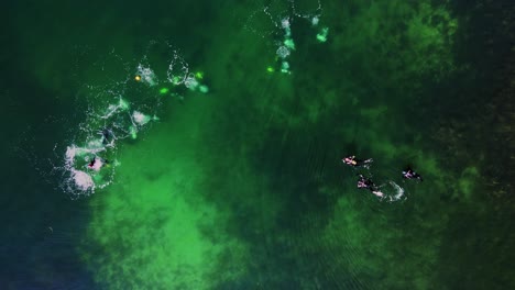 aerial view of divers swimming and exploring marine life under the sea near slaggo island in lysekil, sweden