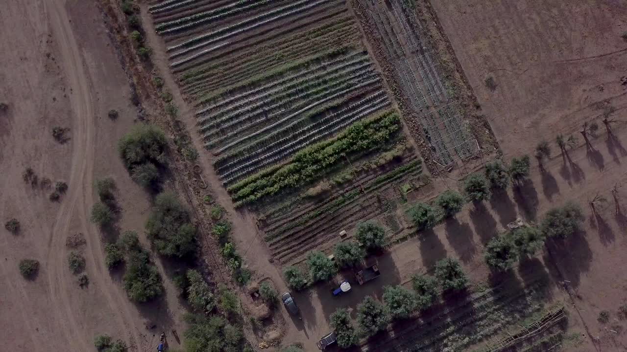 카메라맨이 위쪽 각도에서 땅을 보여주고 있습니다.