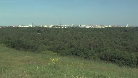 Toma-Panorámica-Del-Bosque-De-Grunewald-Con-Berlín-En-La-Parte-Posterior,-Alemania