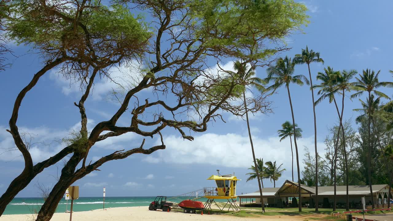 Hawaii Beach Scene with Lifeguard Station