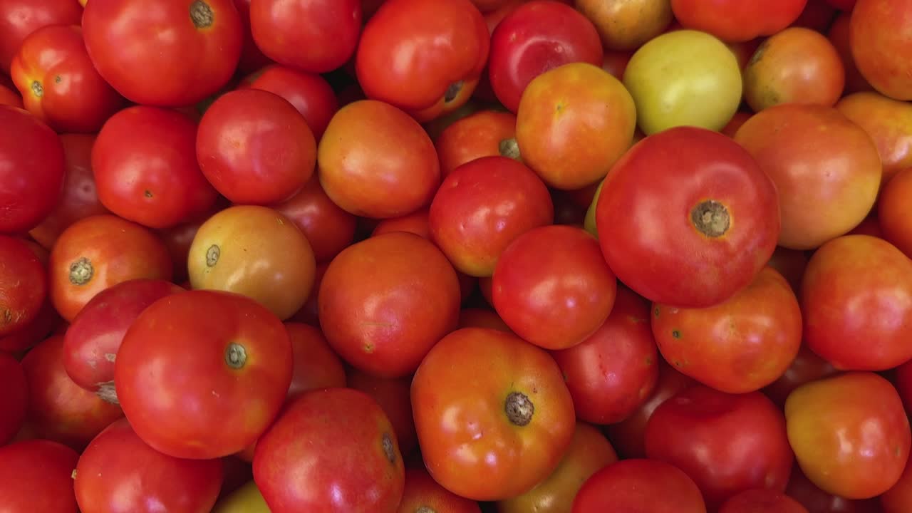 Flying over shot of Fresh tomatoes for sale at indian sabzi mandi market, vegetable market stall, fresh tomato harvest