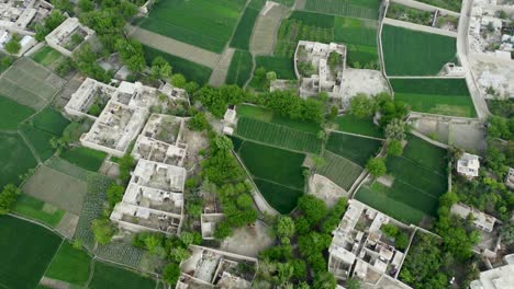 a top-down look at muddy homes