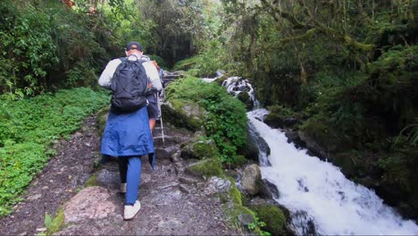 siga desde atrás de caucasial maie caminatas en escaleras hechas de rocas además de un pequeño río en el camino inka en perú