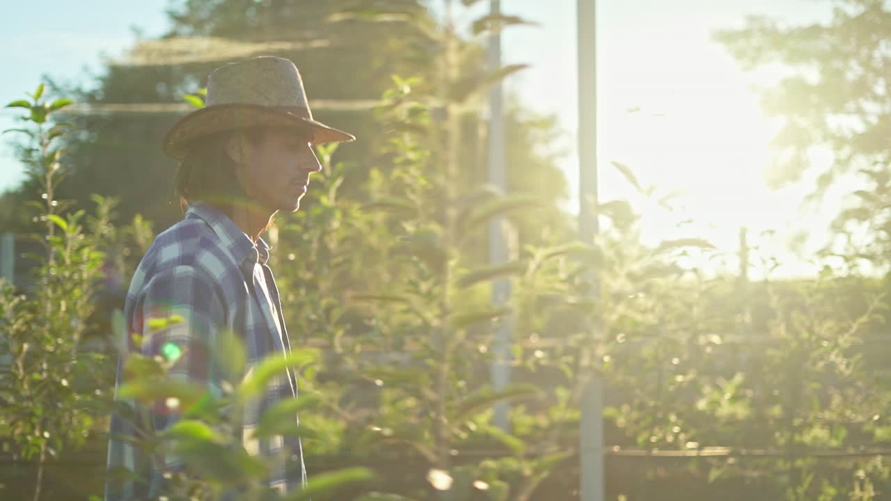 Farmer Inspecting His Orchard at Sunrise