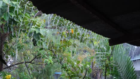 rain water torrents pouring from roof from torrential raining during tropical storm