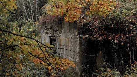 Antiguo-Edificio-Agrícola-Abandonado-Cubierto-De-Plantas-Junto-A-Un-Antiguo-Granero-Rústico-En-El-Centro-De-Retiro-Manoir-Montpellier