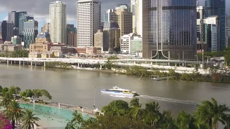 drone ascends tropical trees to reveal ferry on brisbane river, city skyline behind