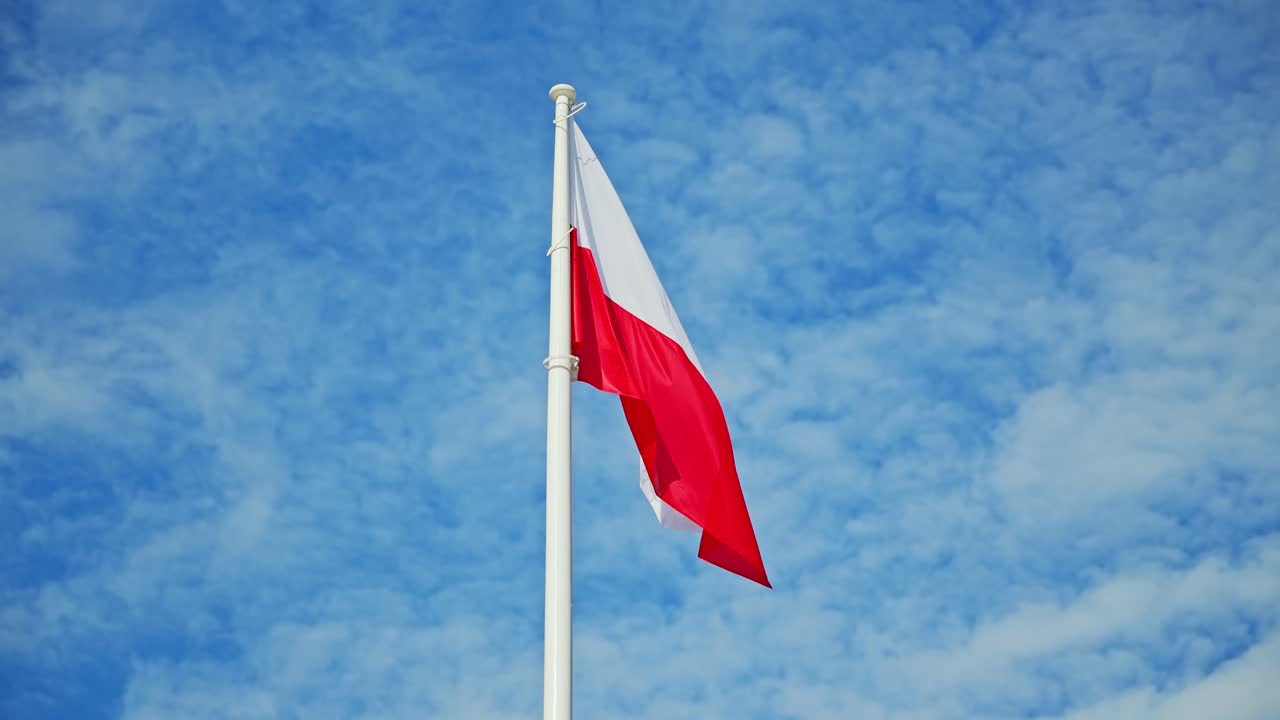 Bright Polish flag gently flutters in wind with vivid blue sky in background