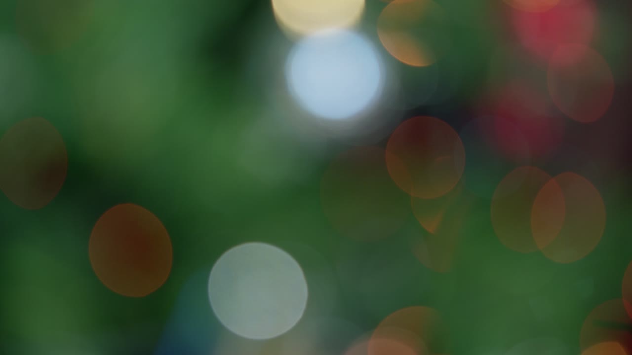 hermoso fondo borroso. bokeh abstracto en fondo verde