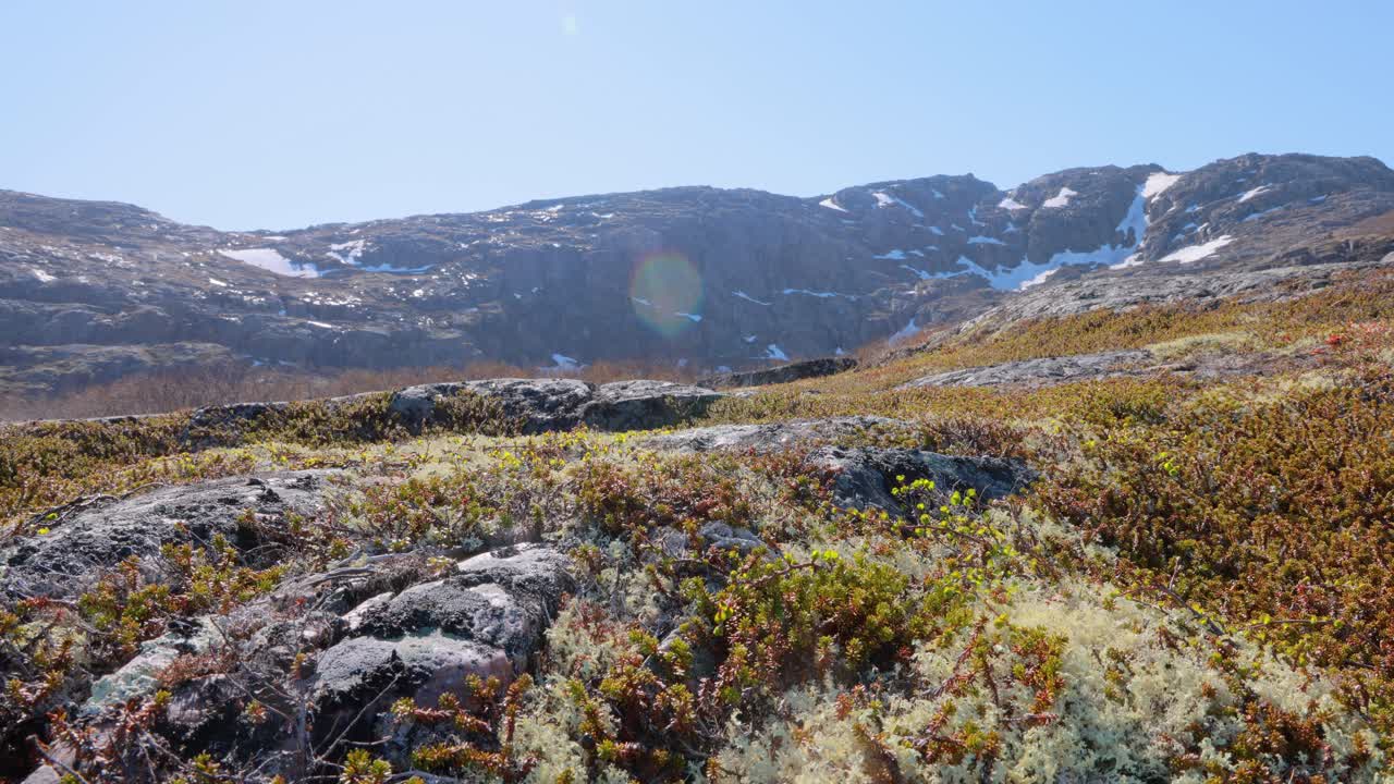 녹색 식물과 눈이 있는 산악 풍경