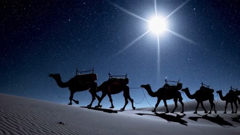 three kings following the star