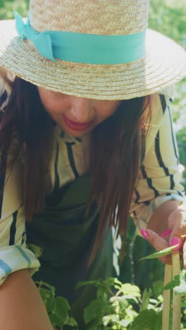 A Passionate Gardener Tending to Her Plants Under the Bright Sun, Nurturing Growth with Care and Dedication in a Lush Green Surrounding