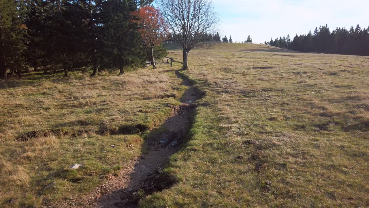 Serene Autumn Hiking Path in Mountain Field
