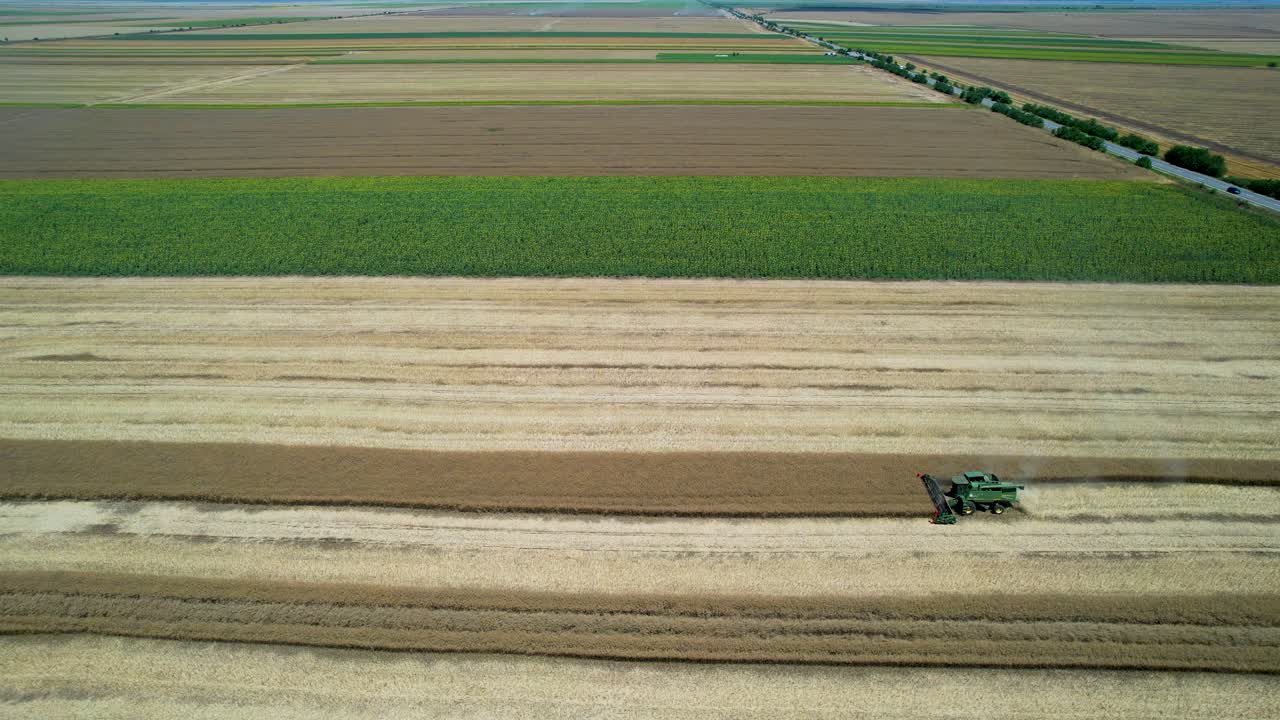 Slow Aerial Reveal Of A Wheat Harvester, Surrounded By Yellow And Green Fields With A Clear Blue Sky In The Background, Side View
