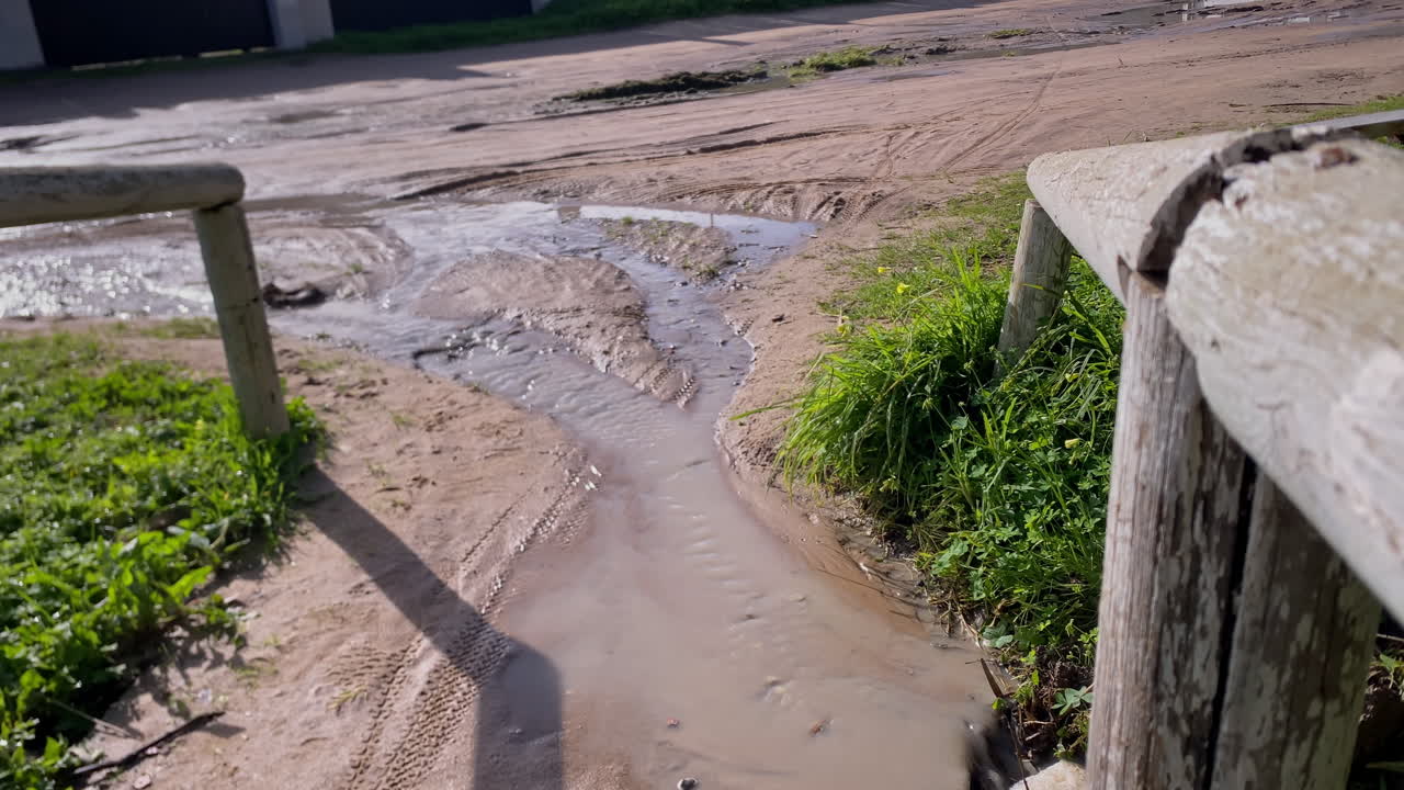 L'acqua piovana si raccoglie tra l'erba e la sabbia accanto a un piccolo ponte di legno, che risplende nella fioca luce del tramonto vicino ai sentieri costieri di Costa Ballena