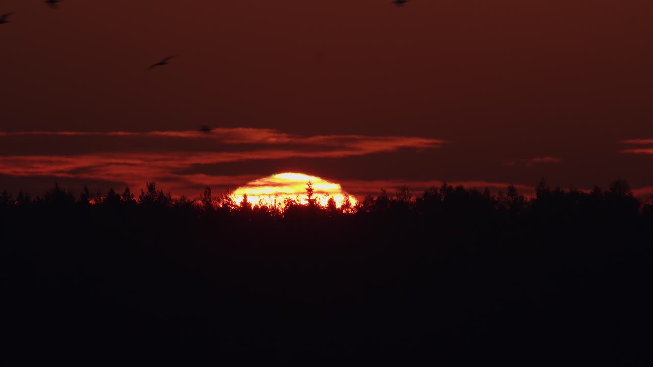 Nahaufnahme Sonnenaufgang: durch Hitzeflimmern verzerrter atmosphärischer Effekt, verwackeltes Bild.