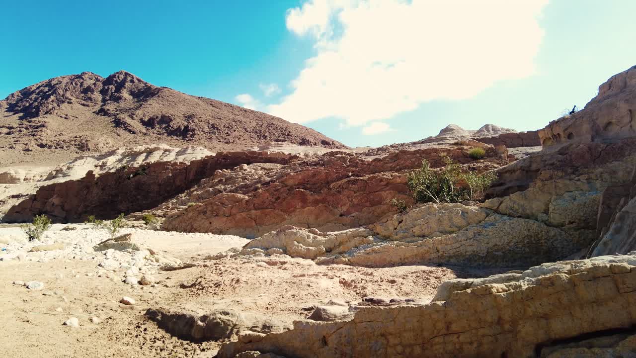 un canyon con un fiume tra montagne e palme