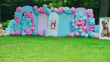 Fiesta-De-Revelación-De-Género-De-Niño-O-Niña-Afuera,-Hermoso-Telón-De-Fondo-Con-Globos-De-Colores-Rosa-Y-Azul-Y-Ositos-De-Peluche-Para-Que-Los-Invitados-Tomen-Fotografías