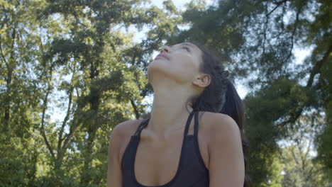 Inspirierende-Aufnahme-Einer-Frau,-Die-In-Einem-Schönen-Sonnigen-Park-Eine-Nach-Oben-Gerichtete-Hunde-Yoga-Pose-Macht