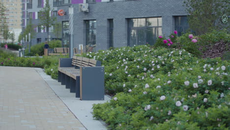 urban park scene with modern benches and lush flowers