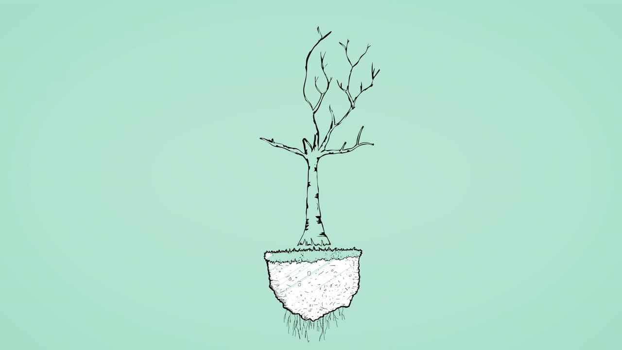 Tree with bare branches and floating soil animation on green background