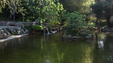 Hermoso-Paisaje-Del-Lago-Del-Jardín-Con-Patos-Blancos-Cerca-De-Un-Pequeño-Arroyo-Que-Fluye