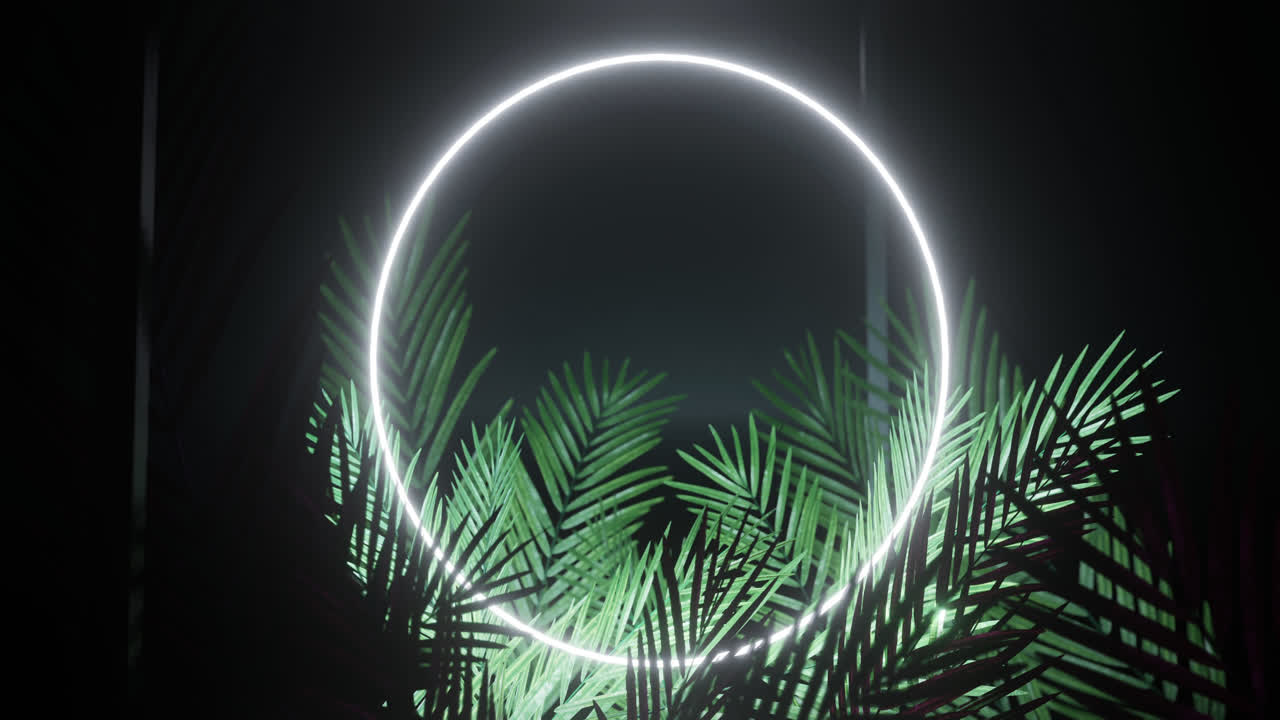 Animation of leaves over white neon circle on black background