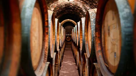 a row of wooden wine barrels lined up in a cellar