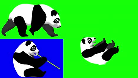 cartoon panda bear