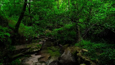 Cascada-En-Las-Montañas-Entre-La-Selva