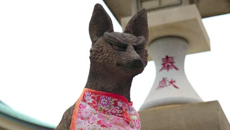 a statue of a fox in a traditional inari shrine japanese temple in tokyo, japan