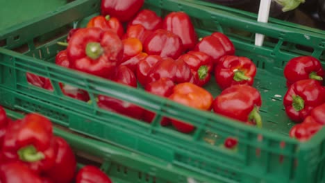 Crates-Filled-With-Fresh-Aubergine-And-Red-Peppers-In-Market