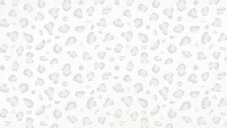 la animación de bucle de patrón de leopardo. el fondo es en 4k.