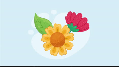animación de plantas de jardín de girasoles en la naturaleza