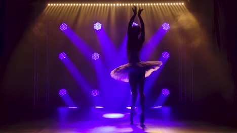 Classical ballet choreography perfoming by young b 2023 11 27 05 34 27 utc (1).mov | art, background, ballerina, ballet