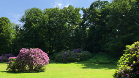 Hermoso-Día-En-Un-Parque-Natural