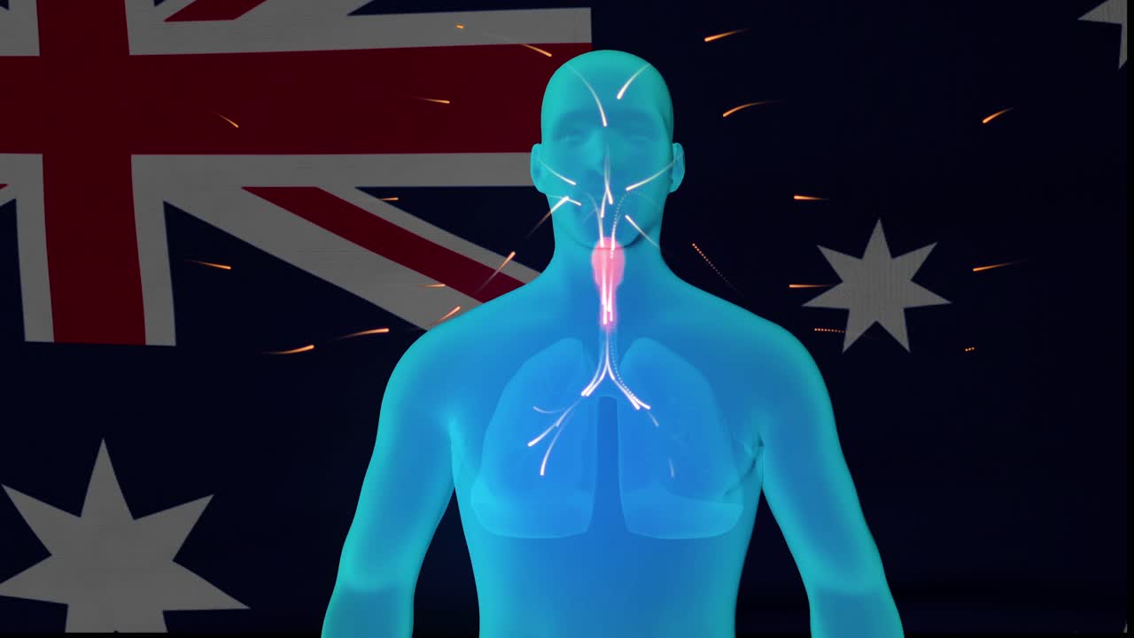 호주 covid-19 애니메이션 루프