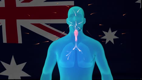 bucle de animación australiano covid-19