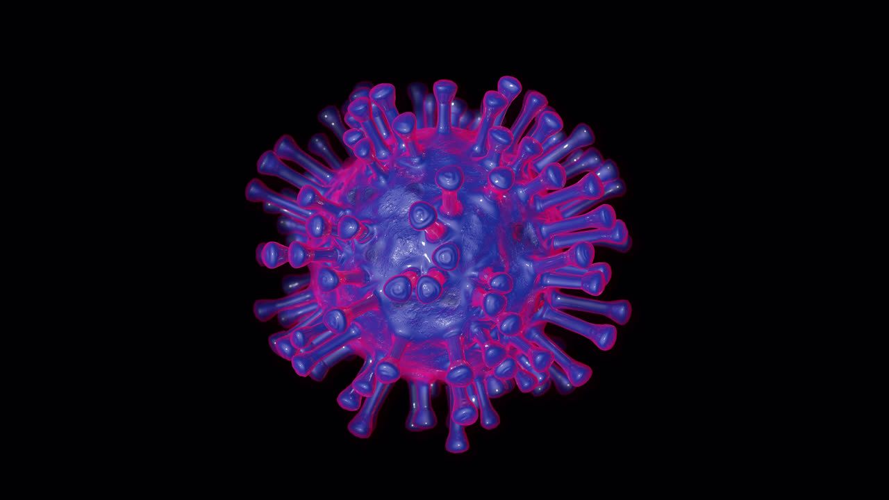 una fascinante vitrina de animación en cg