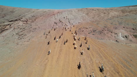 Volando-Sobre-Un-Rebaño-De-Ovejas-Y-Cabras:-Vista-Aérea-Del-Rebaño-Corriendo,-En-Una-Zona-Desértica-Escalando-Una-Montaña