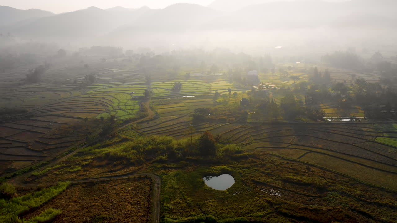 태국의 시골 풍경에서 안개로 인 농장 위의 드론 풍경